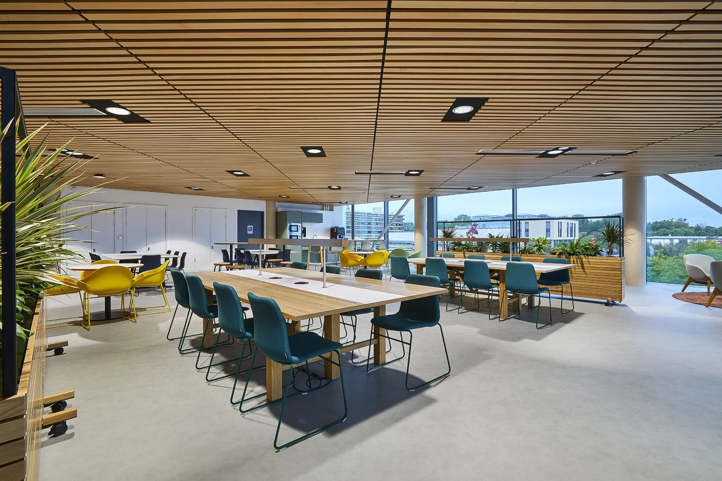 Bespoke slatted timber ceiling above a shared seating area